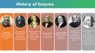 Enzyme | PDF