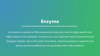 Enzyme Enzyme