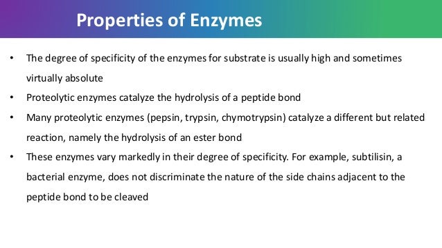 Enzyme