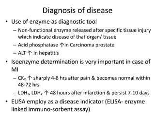 Enzyme | PPTX