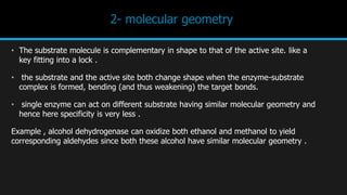 Complementary Shape Enzyme | PPTX