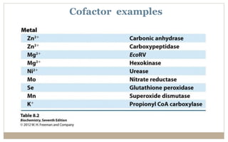 Enzymes (General Introduction & Action Mechanism) | PDF