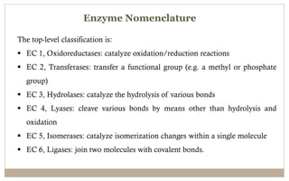 Enzymes (General Introduction & Action Mechanism) | PDF