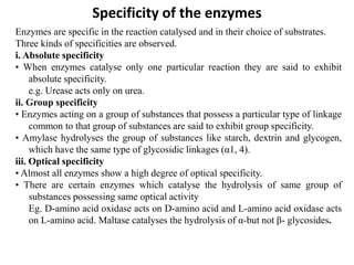 Specificity of the enzymes
Enzymes are specific in the reaction catalysed and in their choice of substrates.
Three kinds of specificities are observed.
i. Absolute specificity
• When enzymes catalyse only one particular reaction they are said to exhibit
absolute specificity.
e.g. Urease acts only on urea.
ii. Group specificity
• Enzymes acting on a group of substances that possess a particular type of linkage
common to that group of substances are said to exhibit group specificity.
• Amylase hydrolyses the group of substances like starch, dextrin and glycogen,
which have the same type of glycosidic linkages (α1, 4).
iii. Optical specificity
• Almost all enzymes show a high degree of optical specificity.
• There are certain enzymes which catalyse the hydrolysis of same group of
substances possessing same optical activity
Eg. D-amino acid oxidase acts on D-amino acid and L-amino acid oxidase acts
on L-amino acid. Maltase catalyses the hydrolysis of α-but not β- glycosides.
 