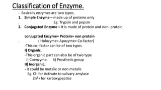 Classification of Enzyme.
- Basically enzymes are two types.
1. Simple Enzyme – made up of proteins only
. Eg. Trypsin and pepsin
2. Conjugated Enzyme – It is made of protein and non- protein.
conjugated Enzyme= Protein+ non protein
. ( Holozyme= Apozyme+ Co-factor)
-This co- factor can be of two types
I) Organic.
-This organic part can also be of two type
i) Coenzyme. Ii) Prosthetic group
II) Inorganic.
- it could be metalic or non metalic
Eg. Cl- for Activate to salivary amylase
Zn²+ for karboxypeptise
 