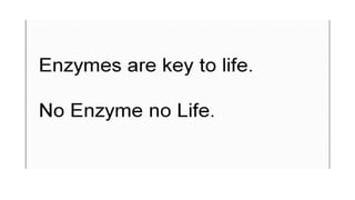Enzyme.pdf