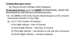 C) Depending upon source
Eg. Enzyme found in Mango called mangoase.
D) Standard Naming- given by IUBMB (INTERNATIONAL UNION FOR
BIOCHEMISTRY AND MOLECULAR BIOLOGY,1955)
• Ac. To IUBMB or IUB every enzyme should be given an EC ( enzyme
commission) Number in Four digit .
Eg. 3.2.1.1 ( EC number of Amylase )
i) First digit indicate - Class of Enzyme
. ii) second digit indicate – Sub-class of enzyme
iii) Third digit indicate – sub division or sub sub class of enzyme
. Iv) Fourth digita indicate – reaction catalysed
 