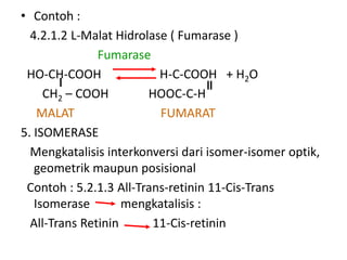 • Contoh :
4.2.1.2 L-Malat Hidrolase ( Fumarase )
Fumarase
HO-CH-COOH H-C-COOH + H2O
CH2 – COOH HOOC-C-H
MALAT FUMARAT
5. ISOMERASE
Mengkatalisis interkonversi dari isomer-isomer optik,
geometrik maupun posisional
Contoh : 5.2.1.3 All-Trans-retinin 11-Cis-Trans
Isomerase mengkatalisis :
All-Trans Retinin 11-Cis-retinin
 