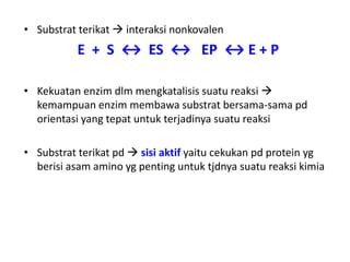 • Substrat terikat  interaksi nonkovalen
E + S ↔ ES ↔ EP ↔ E + P
• Kekuatan enzim dlm mengkatalisis suatu reaksi 
kemampuan enzim membawa substrat bersama-sama pd
orientasi yang tepat untuk terjadinya suatu reaksi
• Substrat terikat pd  sisi aktif yaitu cekukan pd protein yg
berisi asam amino yg penting untuk tjdnya suatu reaksi kimia
 