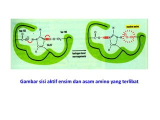 Gambar sisi aktif ensim dan asam amino yang terlibat
 
