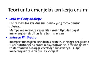 Teori untuk menjelaskan kerja enzim:
• Lock and Key analogy
Enzim memiliki struktur sisi spesifik yang cocok dengan
substrat.
Mampu menerangkan spesifitas ensim ttp tidak dapat
menerangkan stabilitas fase transisi ensim
• Induced Fit theory
mempertimbangkan fleksibilitas protein, sehingga pengikatan
suatu substrat pada enzim menyebabkan sisi aktif mengubah
konformasinya sehingga cocok dgn substratnya.  dpt
menerangkan fase transisi ES komplek
 