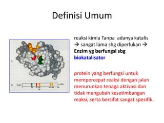 Definisi Umum
reaksi kimia Tanpa adanya katalis
 sangat lama shg diperlukan 
Enzim yg berfungsi sbg
biokatalisator
protein yang berfungsi untuk
mempercepat reaksi dengan jalan
menurunkan tenaga aktivasi dan
tidak mengubah kesetimbangan
reaksi, serta bersifat sangat spesifik.
 