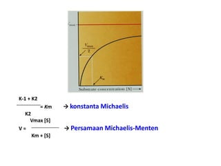 K-1 + K2
= Km  konstanta Michaelis
K2
Vmax [S]
V =  Persamaan Michaelis-Menten
Km + [S]
 