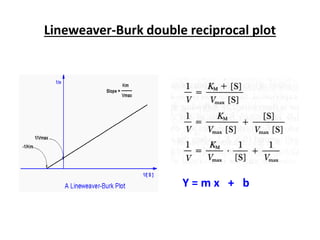 Lineweaver-Burk double reciprocal plot
Y = m x + b
 