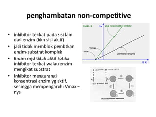 penghambatan non-competitive
• inhibitor terikat pada sisi lain
dari enzim (bkn sisi aktif)
• jadi tidak memblok pembtkan
enzim-substrat komplek
• Enzim mjd tidak aktif ketika
inhibitor terikat walau enzim
mengikat substrat
• Inhibitor mengurangi
konsentrasi enzim yg aktif,
sehingga mempengaruhi Vmax –
nya
 