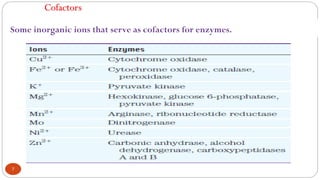 Enzyme.pdf