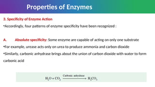 Absolute Specificity Example Educational notes for under graduate student | PPT