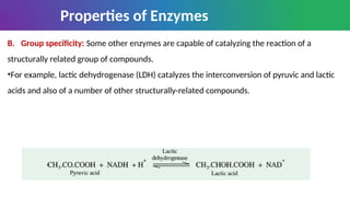 Group Specificity Example Educational notes for under graduate student | PPT
