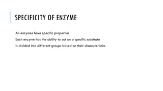 SPECIFICITY OF ENZYME
All enzymes have specific properties
Each enzyme has the ability to act on a specific substrate
is divided into different groups based on their characteristics
 