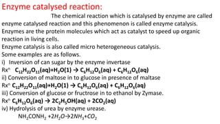 Heterogeneous Rxn Comprehensive Overview of Enzyme Catalysed Reactions and Kinetics | PDF