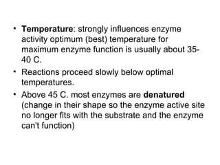 Enzyme And Metabolism | PPT