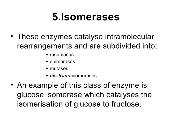 Enzyme And Metabolism