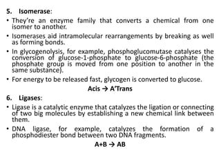 Comprehensive Overview of Microbial Enzymes: Structure, Function, and ...