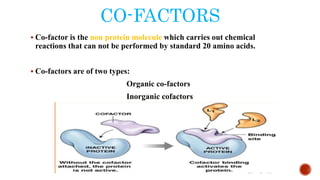 CO-FACTORS
 Co-factor is the non protein molecule which carries out chemical
reactions that can not be performed by standard 20 amino acids.
 Co-factors are of two types:
Organic co-factors
Inorganic cofactors
 