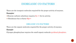 INORGANIC CO-FACTORS
These are the inorganic molecules required for the proper activity of enzymes.
Examples:
Enzyme carbonic anhydrase requires Zn ++ for its activity.
 Hexokinase has co-factor Mg++
ORGANIC CO-FACTORS
These are the organic molecules required for the proper activity of enzymes.
Example:
Glycogen phosphorylase requires the small organic molecule pyridoxal phosphate.
 