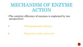 MECHANISM OF ENZYME
ACTION
The catalytic efficiency of enzymes is explained by two
perspectives:
 Thermodynamic changes
 Processes at the active site
 