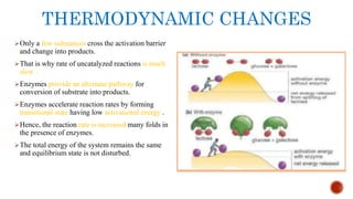 THERMODYNAMIC CHANGES
Only a few substances cross the activation barrier
and change into products.
That is why rate of uncatalyzed reactions is much
slow .
Enzymes provide an alternate pathway for
conversion of substrate into products.
Enzymes accelerate reaction rates by forming
transitional state having low activational energy .
Hence, the reaction rate is increased many folds in
the presence of enzymes.
The total energy of the system remains the same
and equilibrium state is not disturbed.
 
