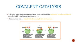 COVALENT CATALYSIS
Enzymes form covalent linkages with substrate forming transient enzyme-substrate
complex with very low activation energy.
 Enzyme is released unaltered after completion of reaction.
 