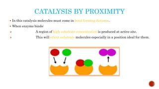 CATALYSIS BY PROXIMITY
 In this catalysis molecules must come in bond forming distance.
 When enzyme binds:
 A region of high substrate concentration is produced at active site.
 This will orient substrate molecules especially in a position ideal for them.
 