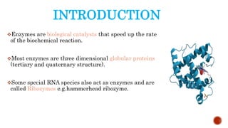 INTRODUCTION
Enzymes are biological catalysts that speed up the rate
of the biochemical reaction.
Most enzymes are three dimensional globular proteins
(tertiary and quaternary structure).
Some special RNA species also act as enzymes and are
called Ribozymes e.g.hammerhead ribozyme.
 