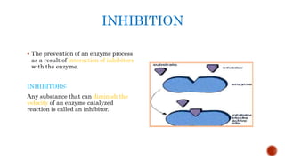 INHIBITION
 The prevention of an enzyme process
as a result of interaction of inhibitors
with the enzyme.
INHIBITORS:
Any substance that can diminish the
velocity of an enzyme catalyzed
reaction is called an inhibitor.
 