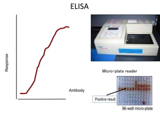 ELISA
Micro-plate reader
96-well micro-plate
Positive result
 