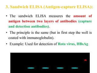 3. Sandwich ELISA (Antigen-capture ELISA):
• The sandwich ELISA measures the amount of
antigen between two layers of antibodies (capture
and detection antibodies).
• The principle is the same (but in first step the well is
coated with immunoglobulin).
• Example: Used for detection of Rota virus, HBsAg
 