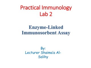 Practical Immunology
Lab 2
Enzyme-Linked
Immunosorbent Assay
By:
Lecturer Shaima’a Al-
Salihy
 