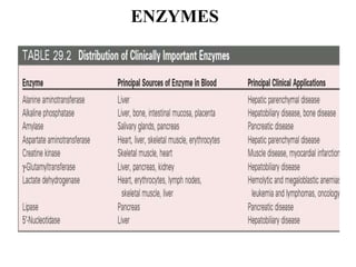 ENZYMES
 