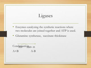 Ligases
• Enzymes catalyzing the synthetic reactions where
two molecules are joined together and ATP is used.
• Glutamine synthetase, succinate thiokinase
Condensation
A+B A-B
ATP ADP+ Pi
 