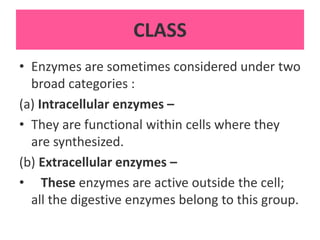 CLASS
• Enzymes are sometimes considered under two
broad categories :
(a) Intracellular enzymes –
• They are functional within cells where they
are synthesized.
(b) Extracellular enzymes –
• These enzymes are active outside the cell;
all the digestive enzymes belong to this group.
 