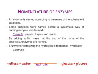 NOMENCLATURE OF ENZYMES
o An enzyme is named according to the name of the substrate it
catalyses.
o Some enzymes were named before a systematic way of
naming enzyme was formed.
Example: pepsin, trypsin and rennin
o By adding suffix -ase at the end of the name of the
substrate, enzymes are named.
o Enzyme for catalyzing the hydrolysis is termed as hydrolase.
Example :
maltose + water glucose + glucose
maltase
 