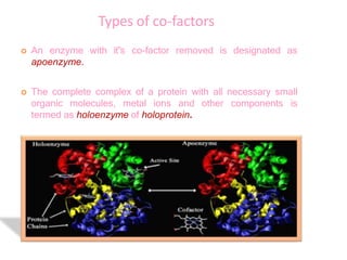  An enzyme with it‟s co-factor removed is designated as
apoenzyme.
 The complete complex of a protein with all necessary small
organic molecules, metal ions and other components is
termed as holoenzyme of holoprotein.
Types of co-factors
 
