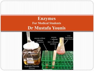Enzymes
For Medical Students
Dr Mustafa Younis
 