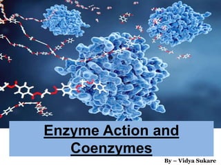 Enzyme Action and
Coenzymes
By – Vidya Sukare
 