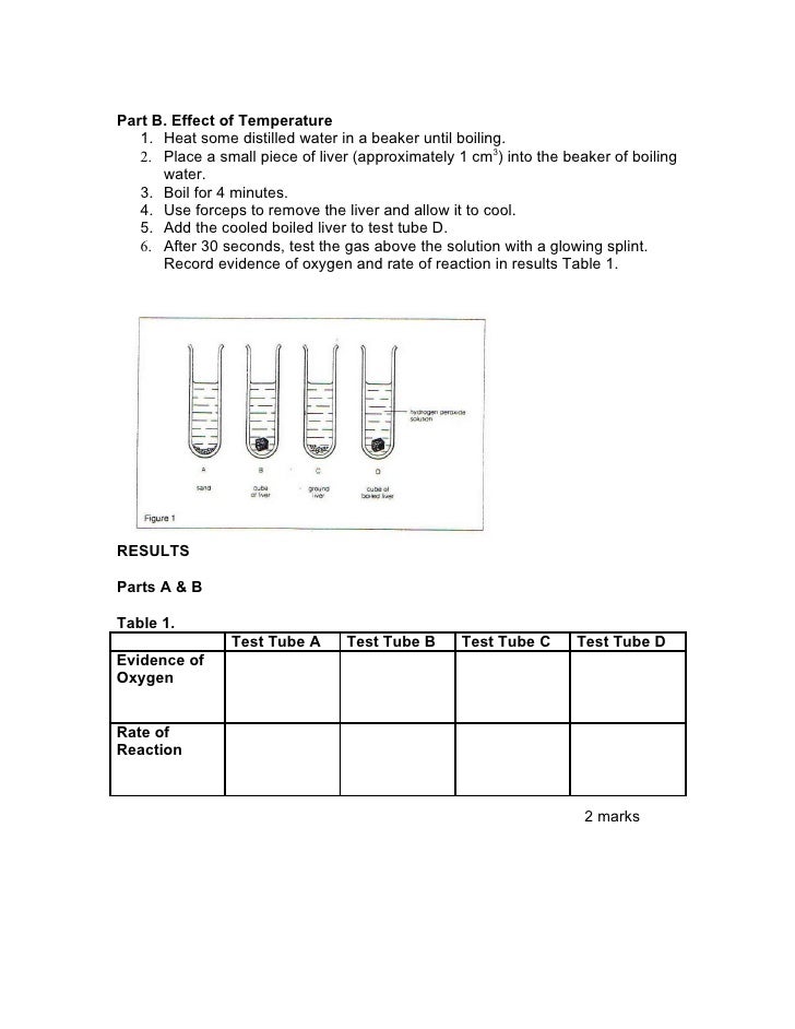peroxide beef liver the effect of temperature on enzyme activity In procuring significant data on the effects of temperature on the catalase- recrystallized beef liver catalase day with the same enzyme and peroxide . peroxide beef liver the effect of temperature on enzyme activity In procuring significant data on the effects of temperature on the catalase- recrystallized beef liver catalase day with the same enzyme and peroxide .