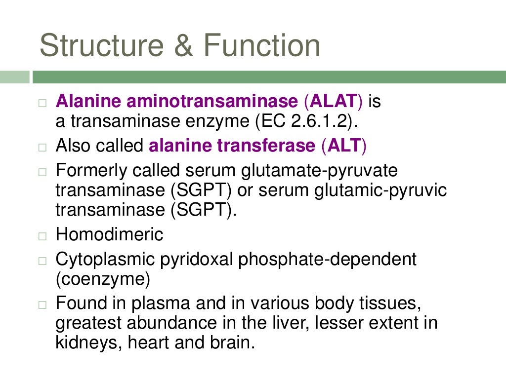 ALANINE TRANSAMINASE (ALT)