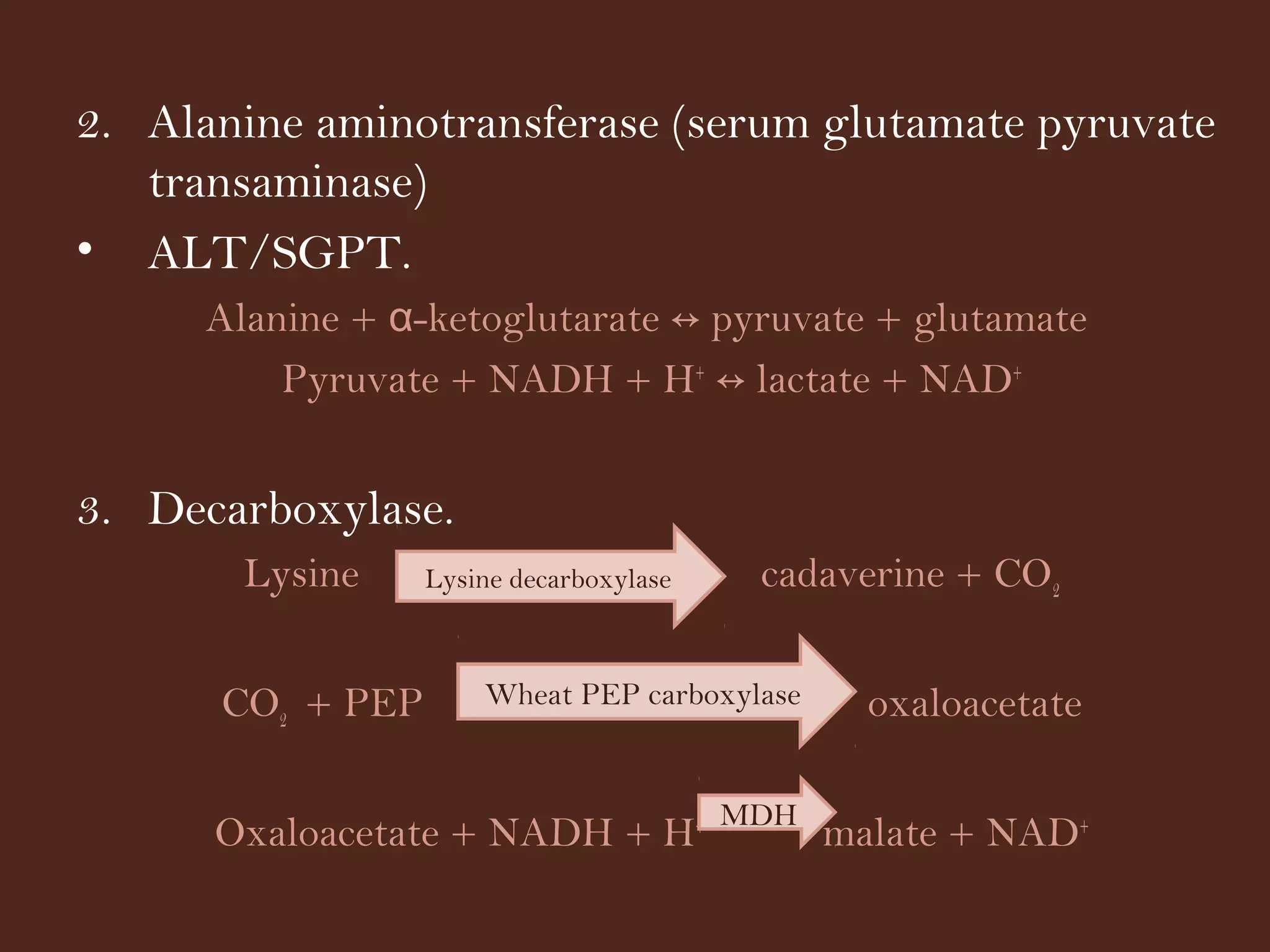 2. Alanine aminotransferase (serum glutamate pyruvate
transaminase)
• ALT/SGPT.
Alanine + α-ketoglutarate pyruvate + glutamate↔
Pyruvate + NADH + H+
lactate + NAD↔ +
3. Decarboxylase.
Lysine cadaverine + CO2
CO2 + PEP oxaloacetate
Oxaloacetate + NADH + H+
malate + NAD+
Lysine decarboxylase
Wheat PEP carboxylase
MDH
 