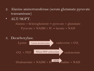Enzyme assays | PPT