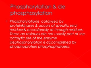 

Phosphorylationis catalysed by
proteinkinases & occurs at specific seryl
residues& occasionally at through residues.
These αα residues are not usually part of the
catalytic site of the enzyme
dephosphorylation is accomplished by
phosphoprotein phosphophatases.

 